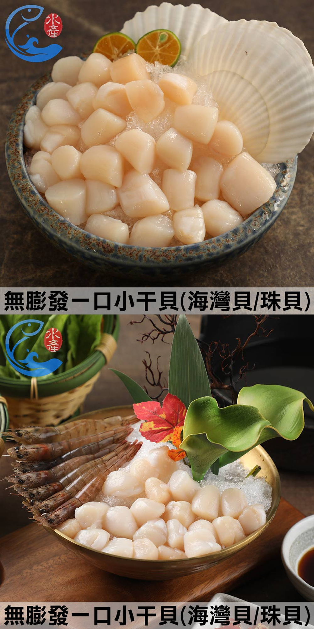無膨發一口小干貝(海灣貝/珠貝)商品詳介