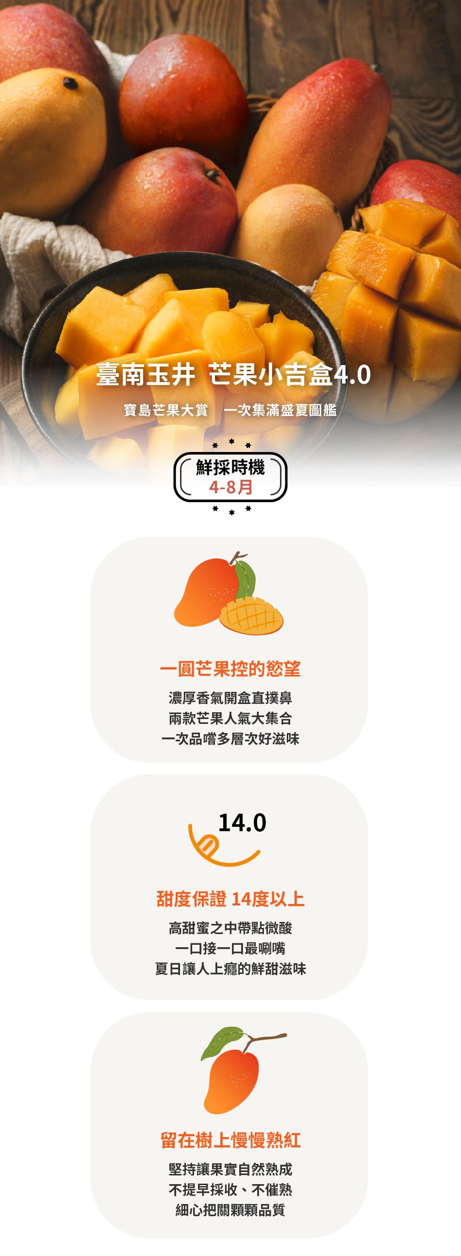 臺南玉井芒果珠寶盒